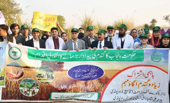 Grow More Wheat Campaign 2025