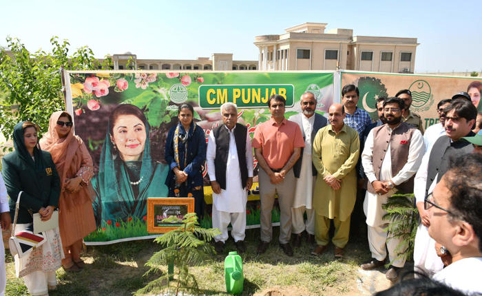 Tree Plantation at Sub-Campus Attock