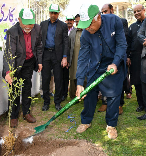 Spring Tree Plantation 2023