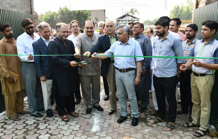 Tree Plantation Campaign