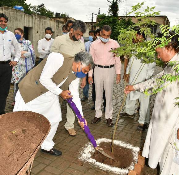 Tree Plantation at UIMS