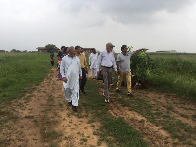 Tree plantation by Department of forestry and range management