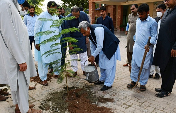 Tree plantation at foreign faculty