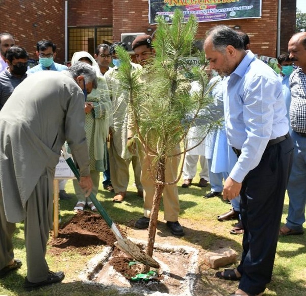 Monsoon Plantation Drive 2021