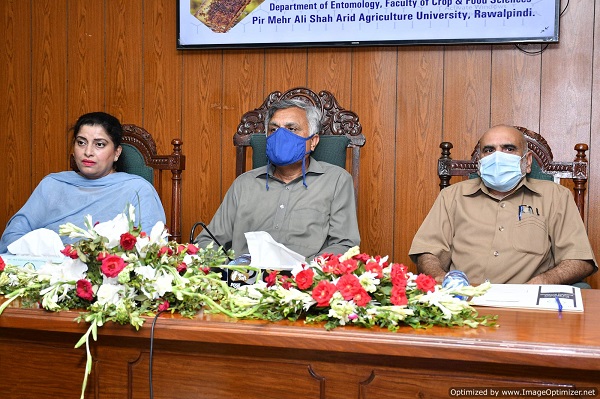 Training Workshop on Modern Beekeeping