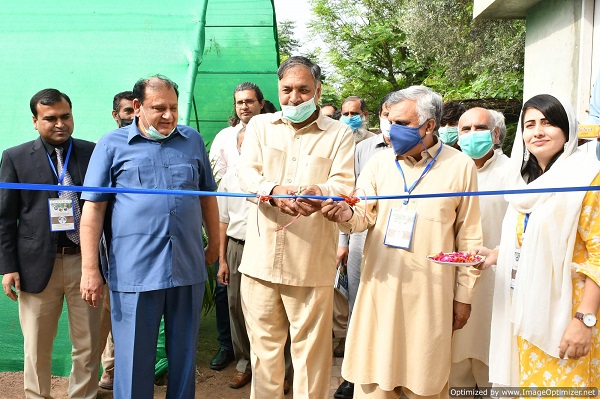 Inauguration of Kiwi Fruit GPU