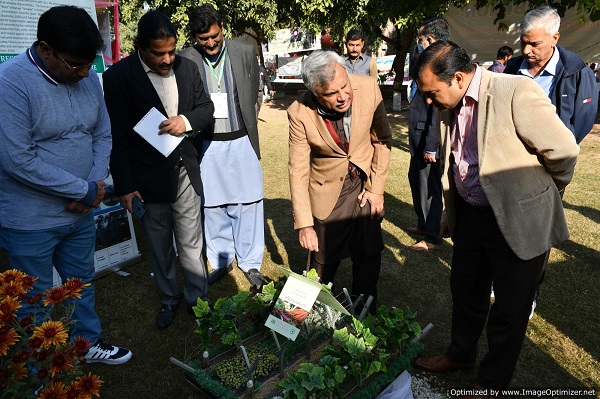 Different activities at Silver Jubilee