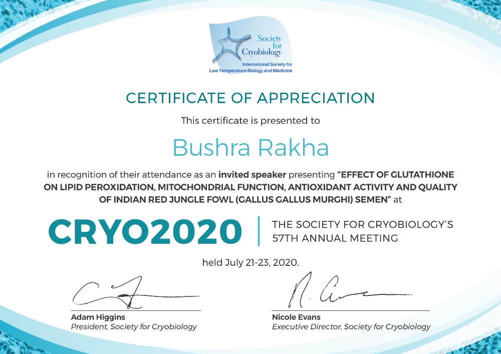 Dayong Gao Young Investigator Award 2020